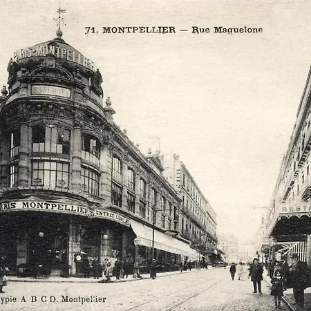 Duplex Plein Centre Ville De Montpellier Exterior photo